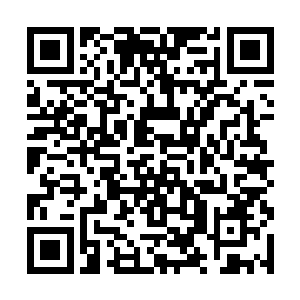 此刻娑娜整个人再也没有了见到龙王时的那种幸福感二维码生成