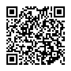 此刻娑娜顿时一把抓住了龙王的衣袖摇了摇脑袋二维码生成