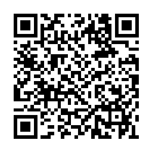 此刻已经有酒店的工作人员把蛋糕分成了许多份二维码生成