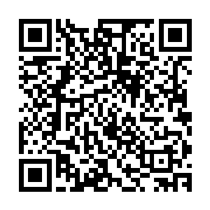 此刻教皇路易斯二世顿时朝着周围的其他人挥了挥手示意退下二维码生成