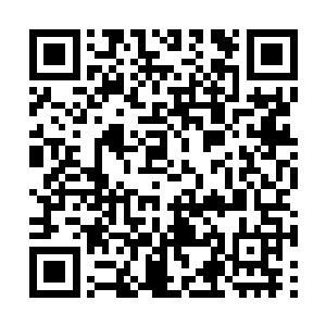 此刻星空中所有强者听到小九的话后几乎都要吐血二维码生成