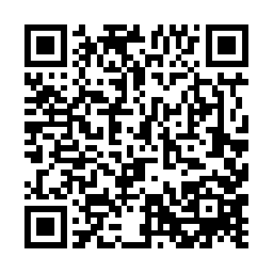 此刻有近一半都倒在了这一次的烈火之中了……当然二维码生成