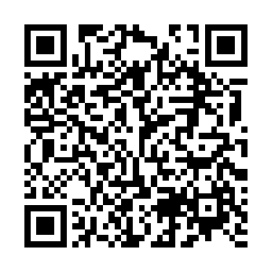 此刻正坐在车里面的白振东自然不知道出租车里发生的事二维码生成