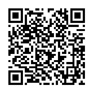 此刻玄幻宫宫主用自己的两个亲传弟子来接待韩风二维码生成