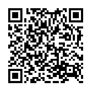 此刻现在再来假惺惺的嘴脸实在是让人恶心了点二维码生成
