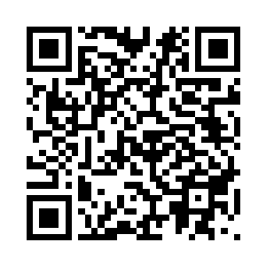 此刻白鹿的心情一定就是这样的了二维码生成