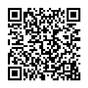 此刻的他们正在以极快的速度跟浴火凤凰拉开距离二维码生成