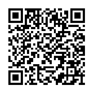 此刻的他们正悲伤的站在破败的变异相思树面前二维码生成