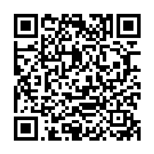 此刻的小龙直接将花伸到了云思凡的面前对着云思凡说道二维码生成
