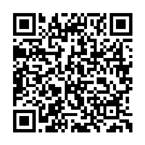 此刻的承天王已经不再是那冷静而内敛的性子了二维码生成