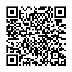此刻看着朱平安这位酒囊饭袋都觉得可爱顺眼了不少呢二维码生成