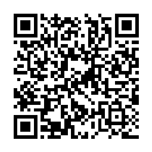 此刻秦宇的那些粉丝也同样是陷入了为难的境界中二维码生成