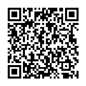 此刻裘明礼便是和传印长老两人交汇了一个眼神示意二维码生成