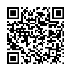 此刻这大阵所呈现在众人眼前的画面二维码生成