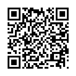 此刻陈景皓全身上下也一样缠满了植被二维码生成