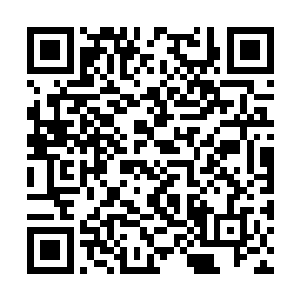 此前他还从未发现有这么多混沌灵族聚集在一起的二维码生成