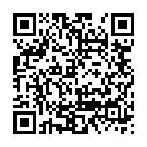 此前连续两部电影已经累计拿下一亿五千多万票房二维码生成