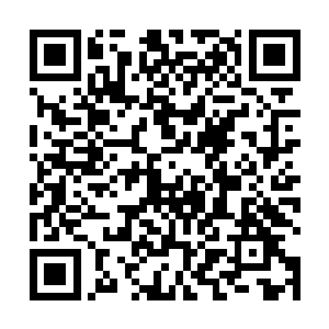 此外阿凡达主题的视频游戏及电影玩偶也将于同期发布二维码生成