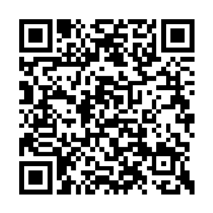 此子的神识修为已经接近元婴后期大圆满的境界二维码生成