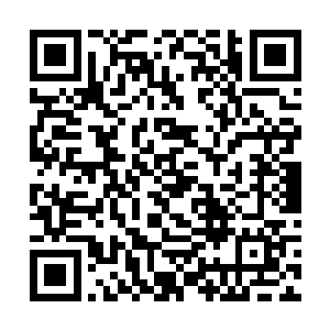 此子竟然不止在庚金之道方面拥有堪比道尊强者境界二维码生成