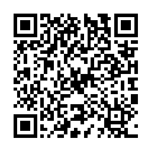 此时两个人都想要查看一下自己体内空间内的珠子二维码生成
