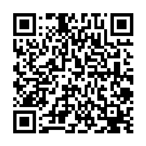 此时云仙宗那边的首席弟子们一个个也都是拿着大扩音符二维码生成