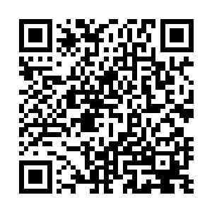 此时五位百星罪者的神魂已经全都出现在夏天的识海之中了二维码生成