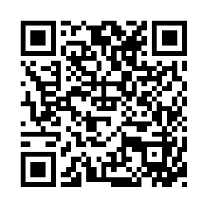 此时五小姐的脸已经彻底的被打成了猪头二维码生成