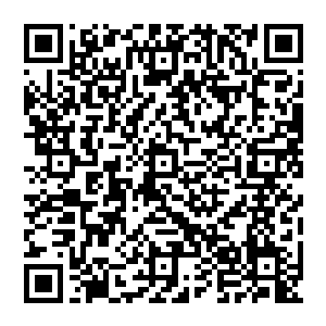 此时从元始天尊留下的只言片语里推断出几大彼岸联手打上天庭很可能是为了道果相关的事物后二维码生成