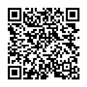 此时他们想的还是唐劫莫不是某个仙台大能之子二维码生成