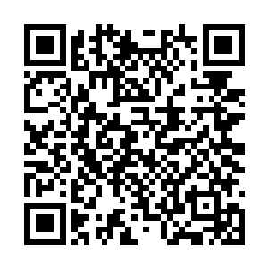 此时他的目光正透过芥子空间向着许紫烟望了过来二维码生成