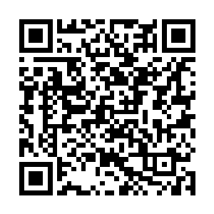 此时分身在风伯与四妖王十六妖将的压制下已岌岌可危二维码生成