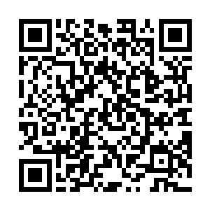此时却陡然出现了三百六十五个不同的暗红色根芽细丝二维码生成