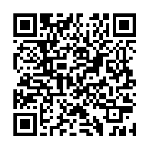 此时另外一名英气逼人的男子出现在阴护法的视野之中二维码生成