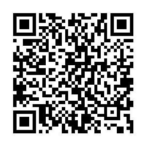 此时叶飞和火舞对眼前的这个小萝莉的身份基本上已经确定了二维码生成