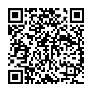 此时和夏天一道同来的那些天柳城的弟子全都是不解的天二维码生成