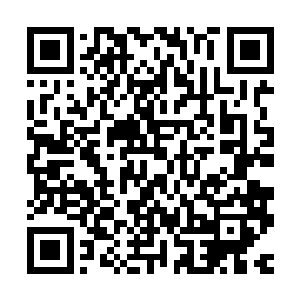 此时在其他四个方位当中已经有和他一样想法的杀手准备就绪了二维码生成