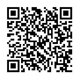 此时在破碎山脉的小路上就有着一对修士正在前行二维码生成