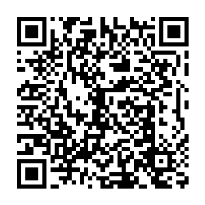 此时在被电灼伤后火辣辣的刺痛下才想起来自己被黑炭放电给电过二维码生成