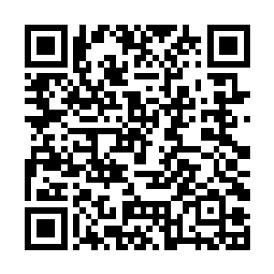 此时基本上已经确定了许紫烟不是他们的那个紫大师二维码生成