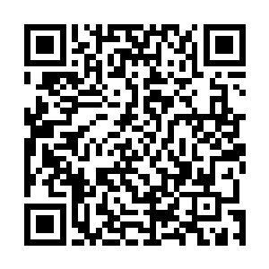 此时夏天炼制出来的手镯是比灵器还要高一个等级的存在二维码生成