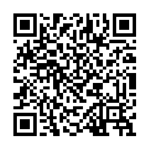 此时大批的治安队人员和救护人员全都赶了过来二维码生成