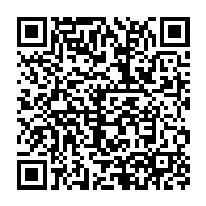 此时她已经知道手中的这一根半羽毛是凤祖的九根凤尾中的一根半二维码生成