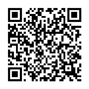 此时所有登天九重顶峰的高手只剩下龙傲天一个人没有被阻拦二维码生成