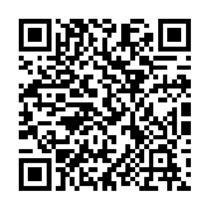 此时早已从扎根其上的那祖神之树的树苗上挣脱而出二维码生成