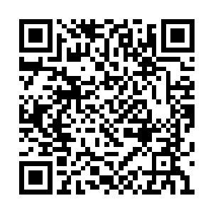 此时早已被整个试炼场中所有天脉宫的弟子听到二维码生成