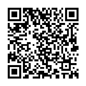 此时昭华郡主单独一人纵马横冲直撞的出了京城二维码生成