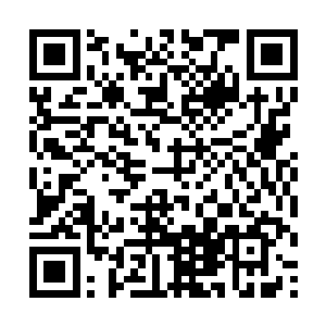 此时杨家五个修士正目光诧异地望向了许紫烟七个人二维码生成