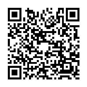 此时正逢那化魂血河在被本体一把捏爆后化血脱离二维码生成