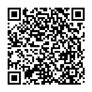 此时此刻她最纠结的依然是自己无论如何也想不到凤瑾元手里究竟握有什么东西二维码生成